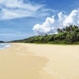 Pullman Bentota Resort & Spa, Bild 2