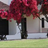 Pedras da Rainha, Bild 3 ansehen Pedras da Rainha, Bild 3