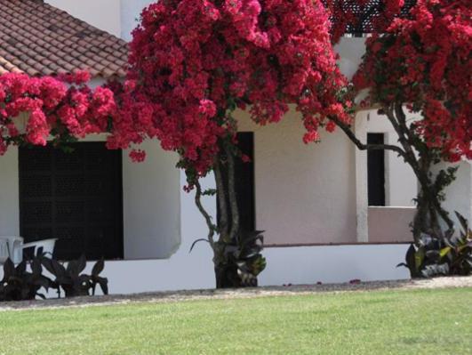 3 Sterne Hotel: Pedras da Rainha - Tavira, Algarve, Bild 3