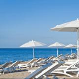 Kaktus Playa, Bild 3 ansehen Kaktus Playa, Bild 3