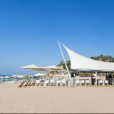 Kaktus Playa, Bild 5 ansehen Kaktus Playa, Bild 5