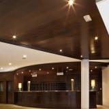 Gran Hotel Flamingo - Adults only, Bild 9