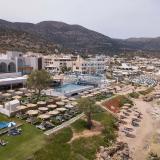 Cactus Mare - Adults Only, Bild 1