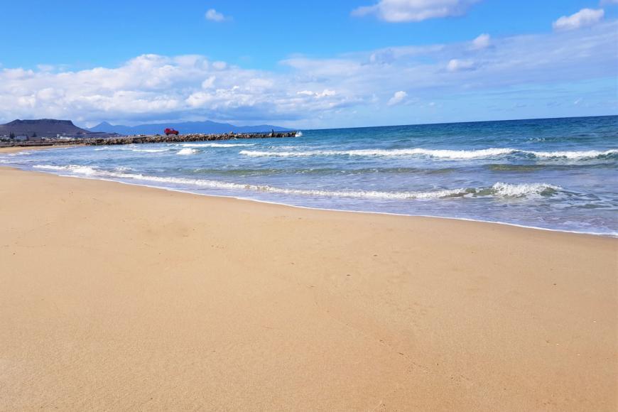 3 Sterne Hotel: Erato - Gouves, Kreta, Bild 9