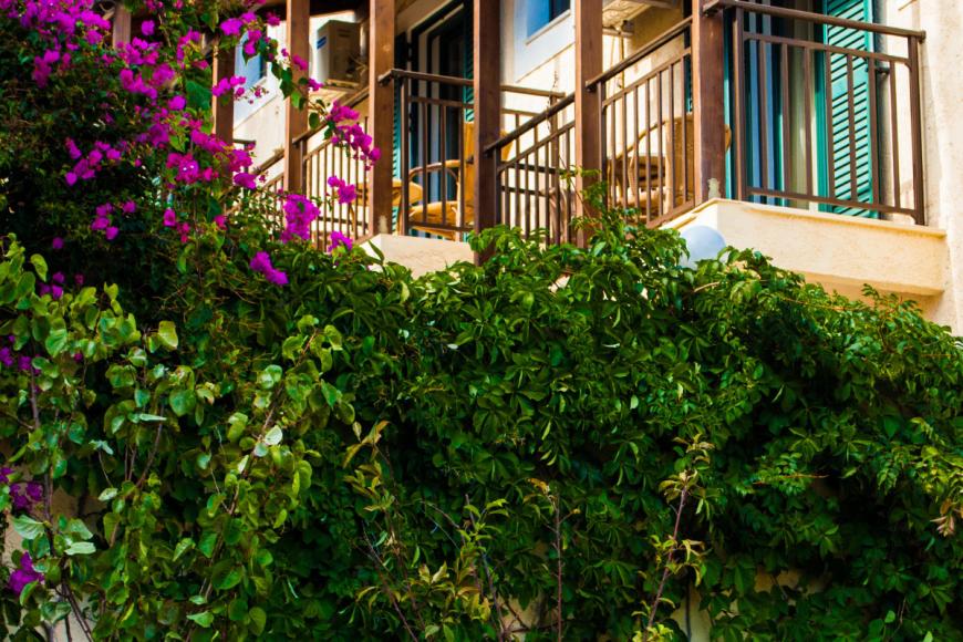 4 Sterne Hotel: Maria Mare Apartments - Stalis, Kreta, Bild 2