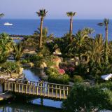 Annabelle, Bild 2 ansehen Annabelle, Bild 2