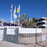 Las Jacarandas, Bild 9