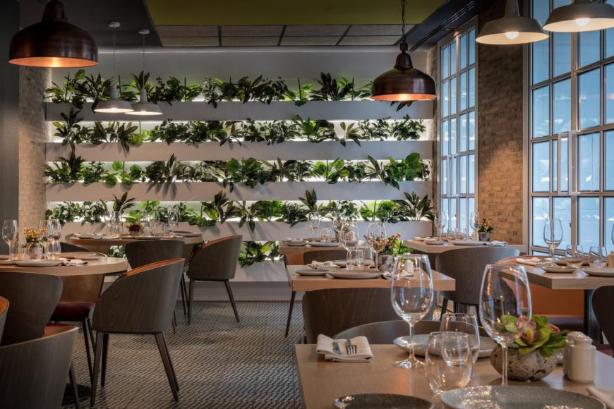 4 Sterne Hotel: Catalonia Gran Via - Madrid, Madrid, Bild 5