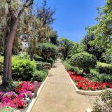 Phoenicia Malta, Bild 10