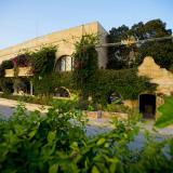 Cornucopia, Bild 3 ansehen Cornucopia, Bild 3