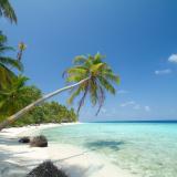 Filitheyo Island Resort, Bild 4 ansehen Filitheyo Island Resort, Bild 4