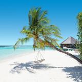 Vilamendhoo Resort, Bild 4 ansehen Vilamendhoo Resort, Bild 4