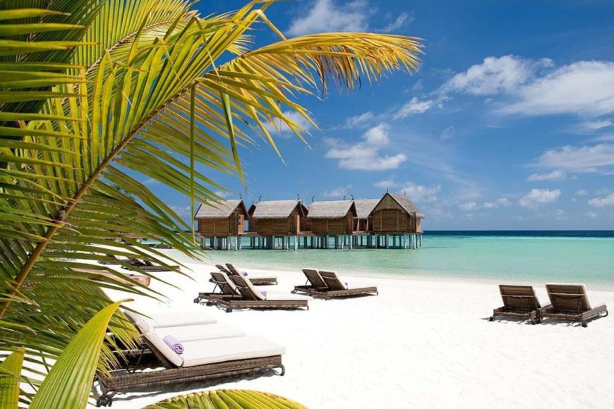 5 Sterne Hotel: Constance Moofushi Resort - Alif Dhaal Atoll, Ari Atoll (Nord & Süd), Bild 1