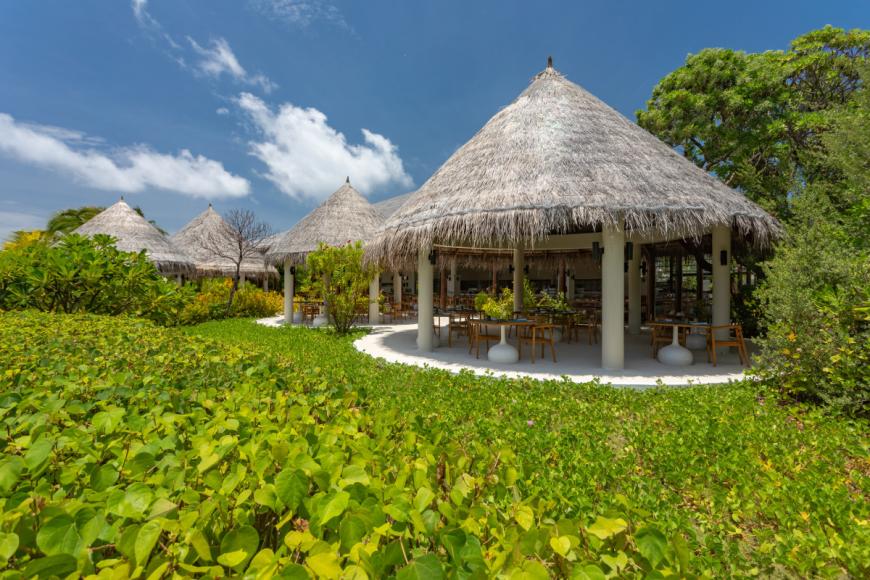 5 Sterne Hotel: Cocoon Maldives - Lhaviyani Atoll, Lhaviyani Atoll, Bild 5