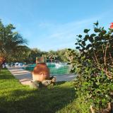 Park Hotel Terme Mediterraneo, Bild 9