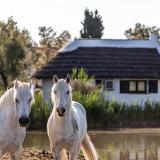 L'Auberge Cavalière du Pont Des Bannes, Bild 10