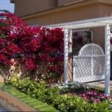 Hotel & Apartamentos Vista Park, Bild 5