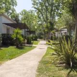 Valentin Playa de Muro, Bild 3 ansehen Valentin Playa de Muro, Bild 3