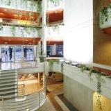 Hipotels Mediterraneo Hotel - Adults Only, Bild 5 ansehen Hipotels Mediterraneo Hotel - Adults Only, Bild 5