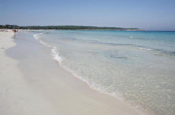 4 Sterne Hotel: Hipotels Mediterraneo Hotel - Adults Only - Sa Coma, Mallorca (Balearen), Bild 8