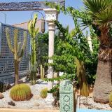 Riad Armelle, Bild 2 ansehen Riad Armelle, Bild 2