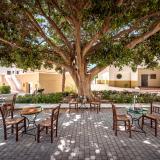 Mitsis Rodos Maris, Bild 7