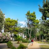 San Marino Sunny Resort by Valamar - Lopar Sunny, Bild 7