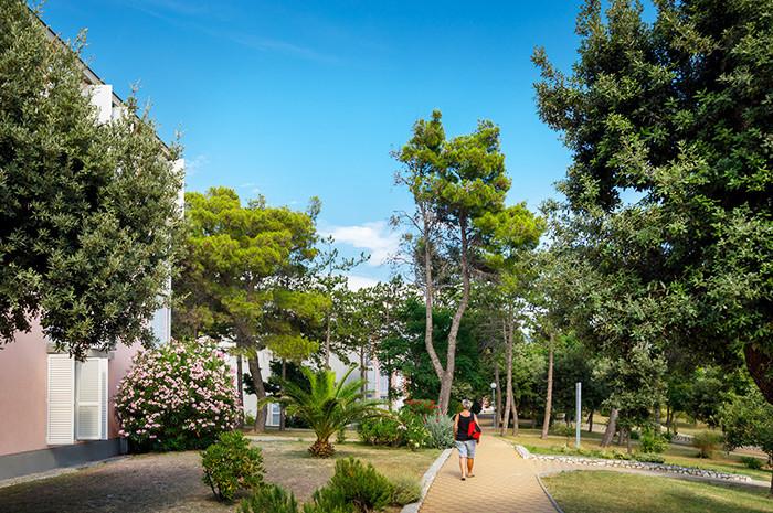 3 Sterne Hotel: San Marino Sunny Resort by Valamar - Lopar Sunny - Lopar (Insel Rab), Insel Rab, Bild 7