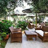 4 Sterne Hotel: Marthas House, Gerakini, Chalkidiki