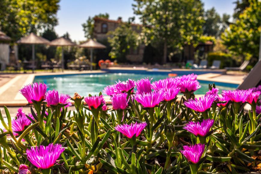 4 Sterne Hotel: Petrino Suites - Afitos, Chalkidiki, Bild 2