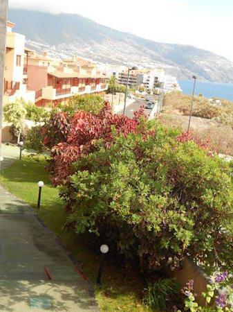 3 Sterne Familienhotel: Apartamentos Cerrito - Los Cancajos, La Palma (Kanaren), Bild 2