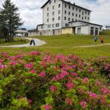 3 Sterne Hotel: Berghof Tauplitzalm, Tauplitz, Steiermark