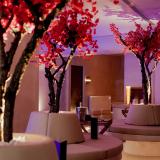 Maritim Resort Marina Bay, Bild 9