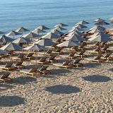 GRIFID Noa, Bild 2 ansehen GRIFID Noa, Bild 2