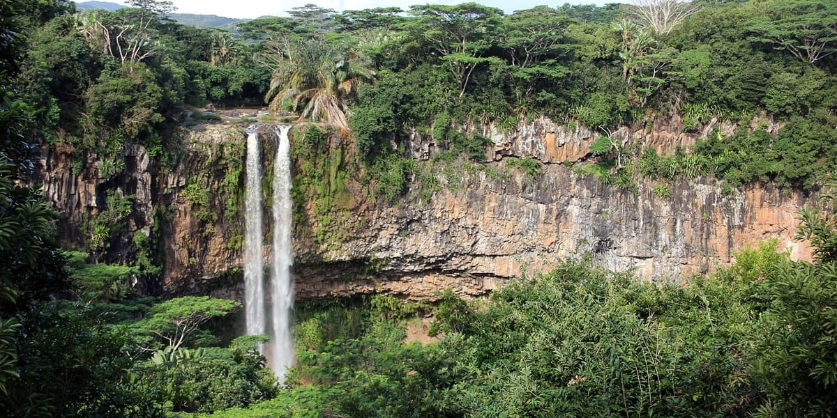 Mauritius Black River Gorges Nationalpark