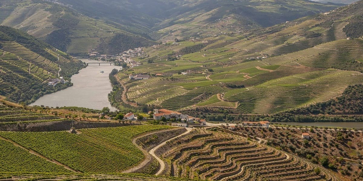 Das Douro-Tal im Norden Portugals