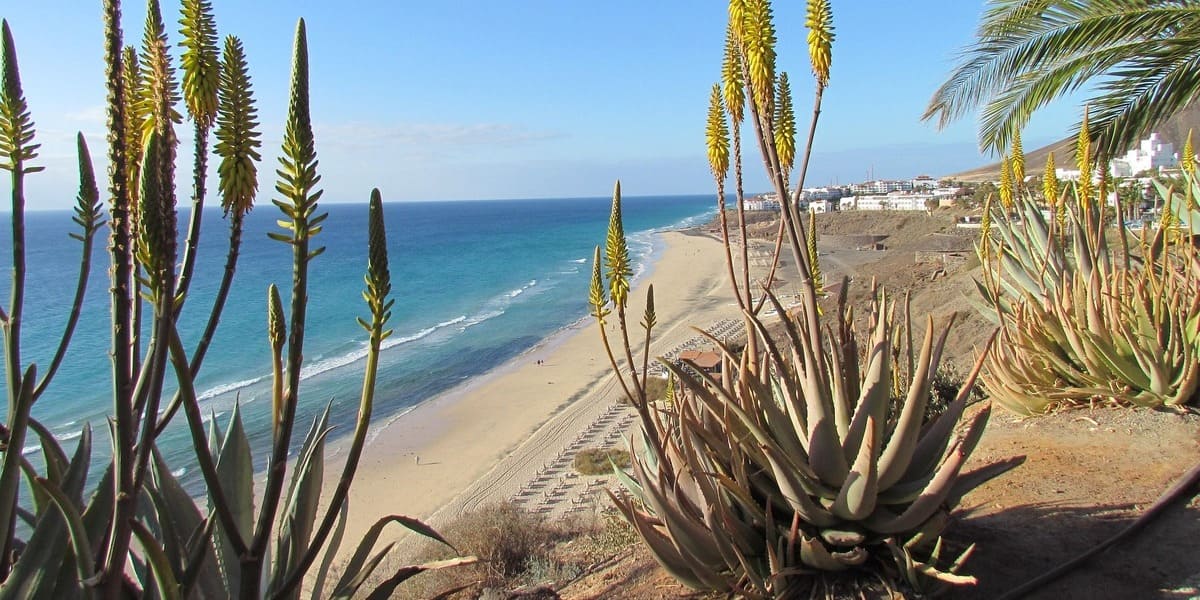 Pauschalreise Fuerteventura: Wetter
