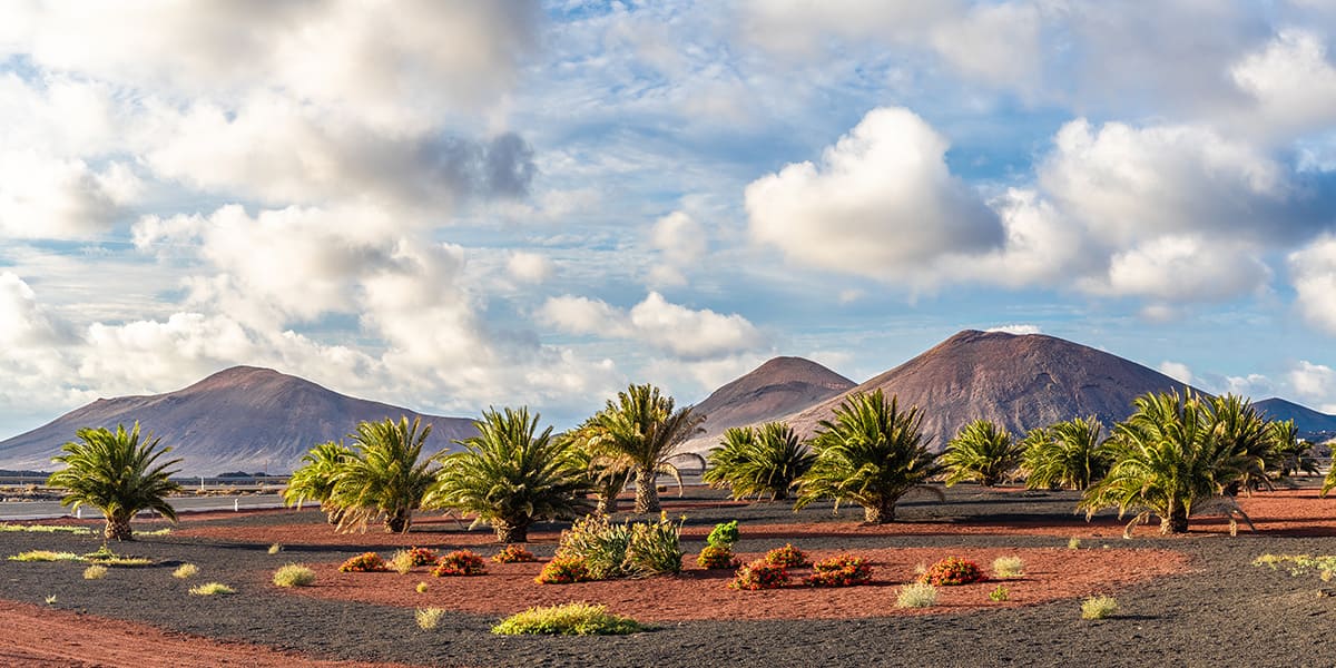 Urlaub Lanzarote: Nationalpark Timanfaya