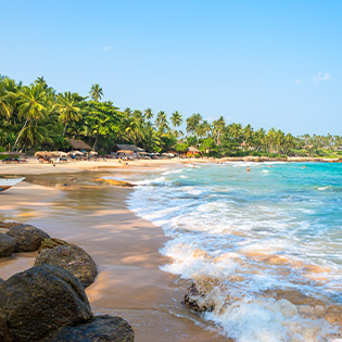 Bild zu Tangalle