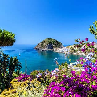 Bild zu Ischia