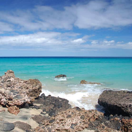 Bild zu Fuerteventura