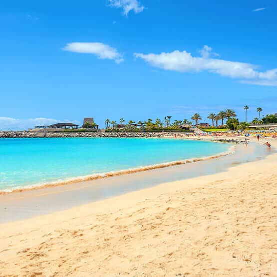 Bild zu Gran Canaria