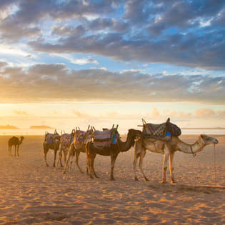 Bild zu Marokko, Marrakesch