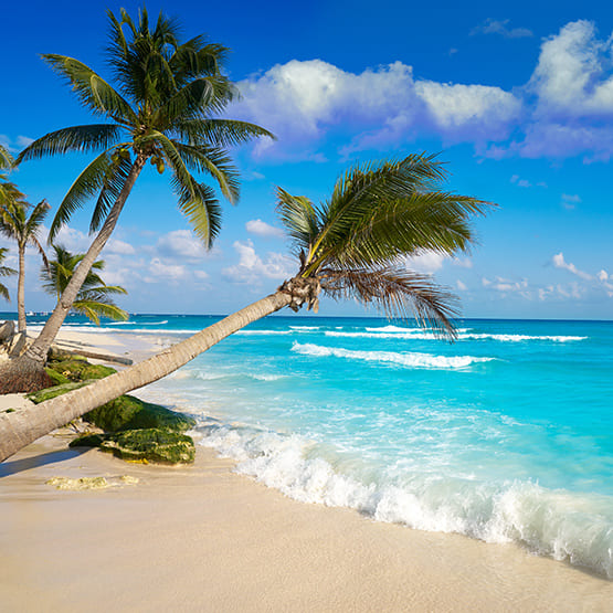 Bild zu Playa del Carmen