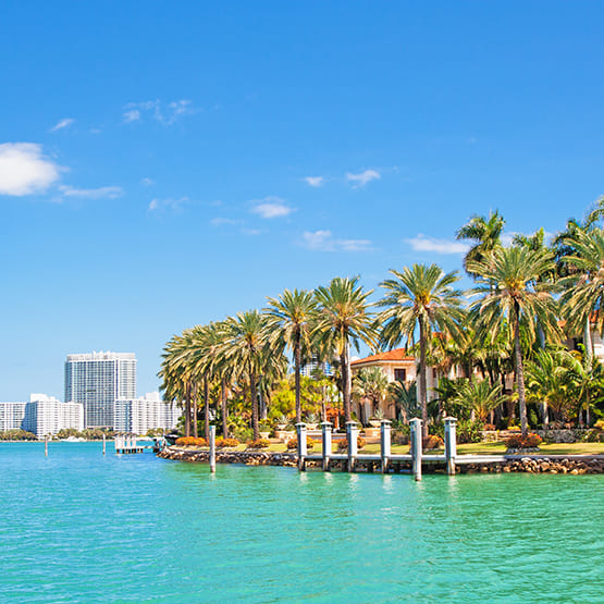 Bild zu Miami