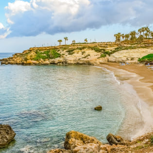 Bild zu Paralimni
